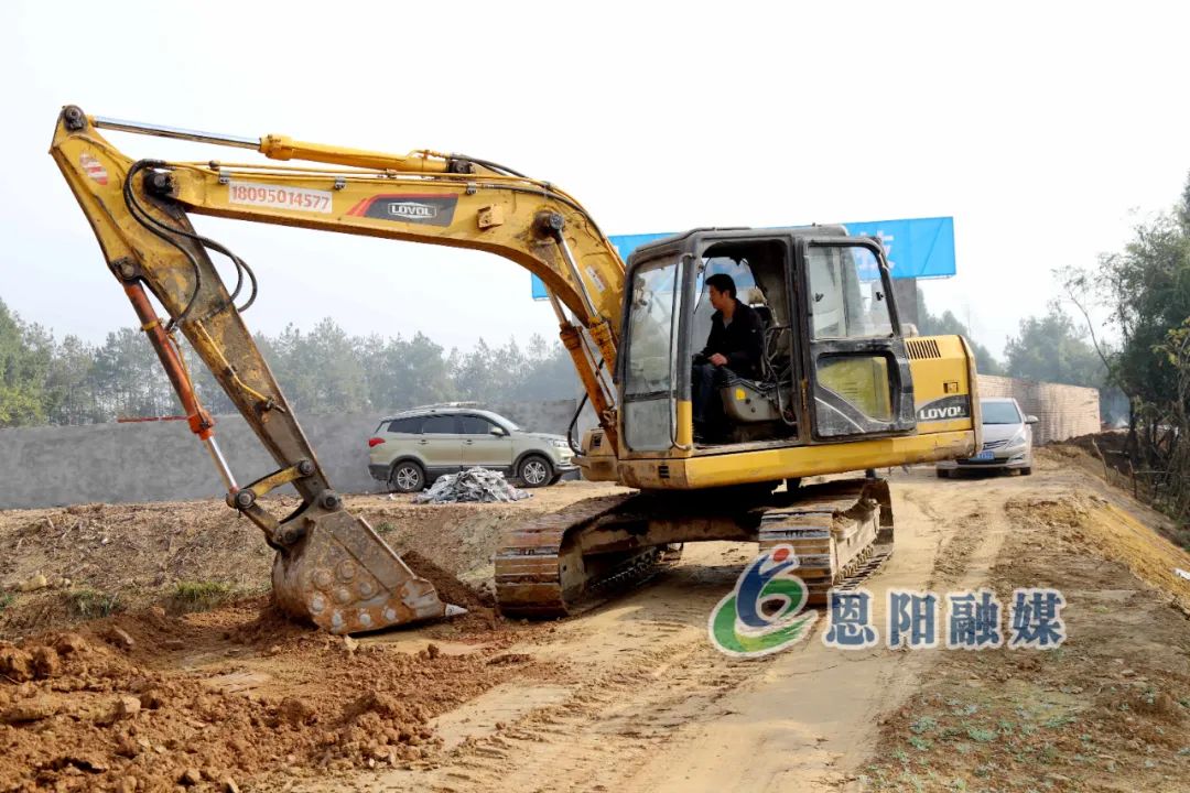 花丛镇：加快发展肉牛产业 推动区域经济“牛”起来