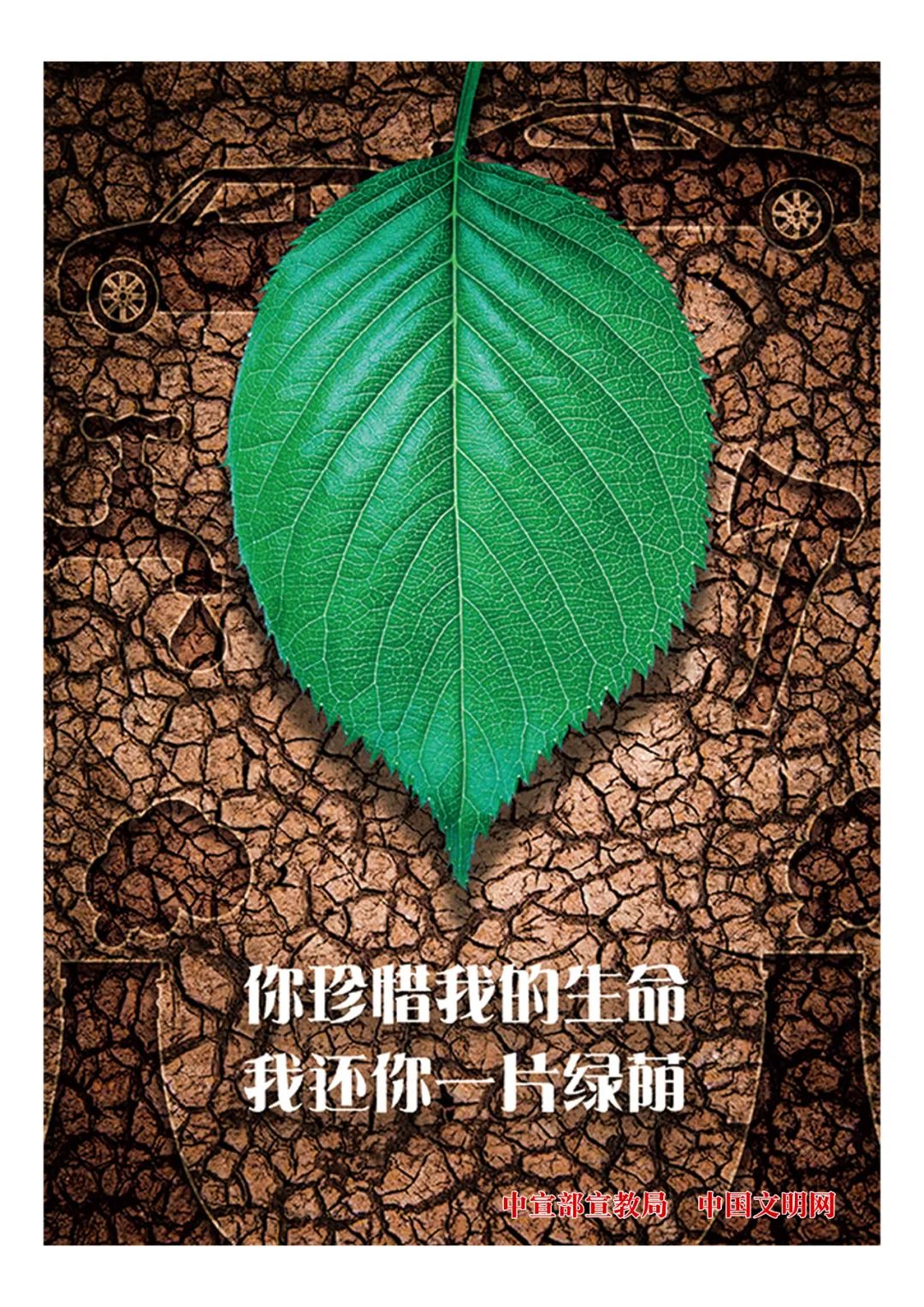 公益广告 | 你珍惜我的生命 我还你一片绿荫